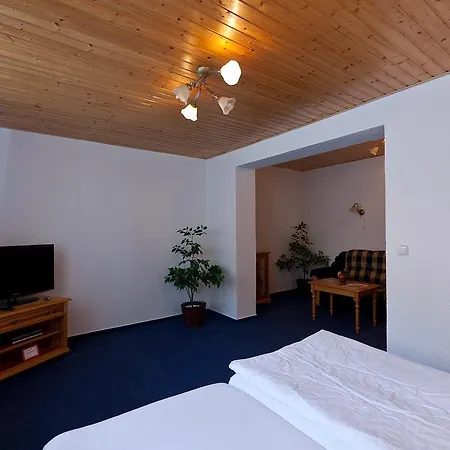 Linhart פודבראדי