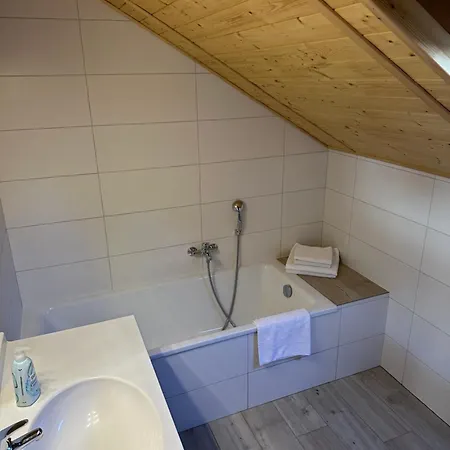 Linhart בית הארחה פודבראדי