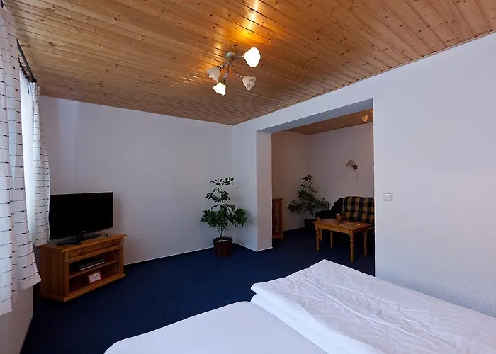 Linhart Poděbrady